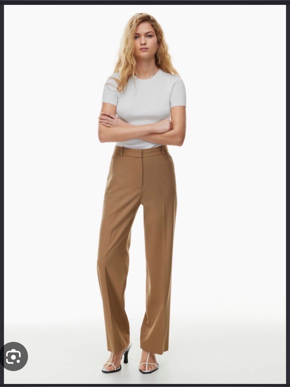 Babaton Agency Pants in Camel